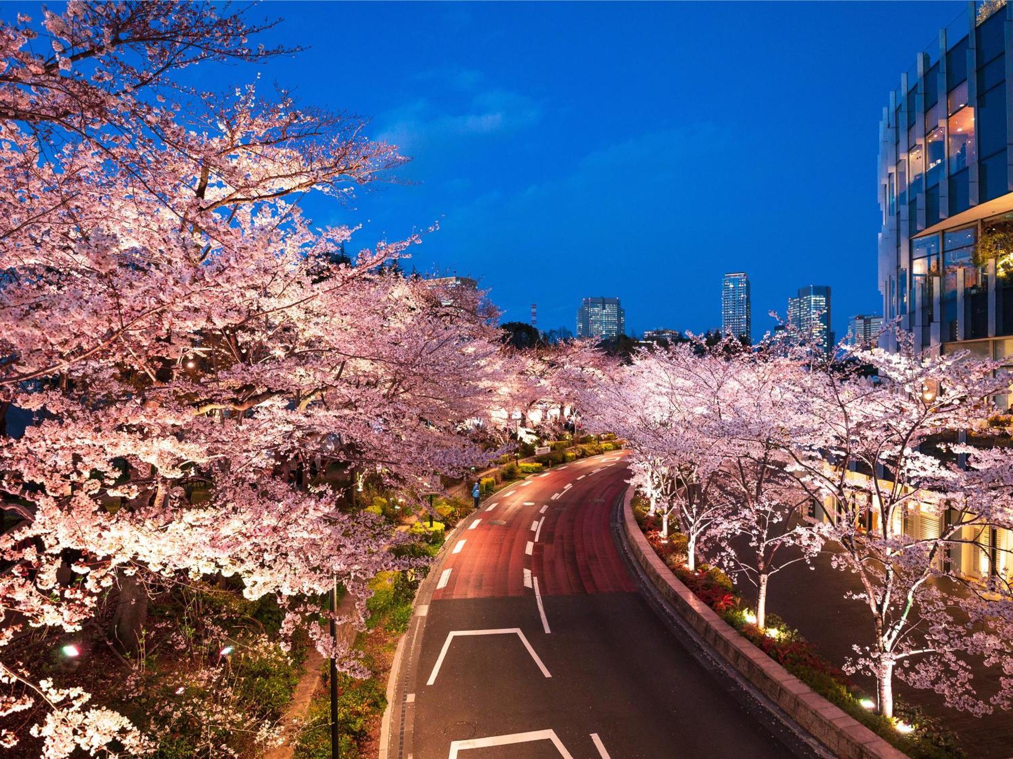 Mimaru Tokyo Akasaka Hotel Exterior foto